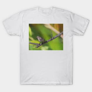 Redstart resting on a branch T-Shirt